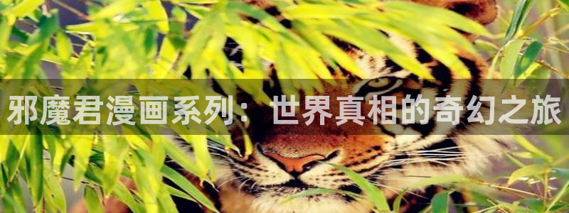 香蕉漫画韩国漫画