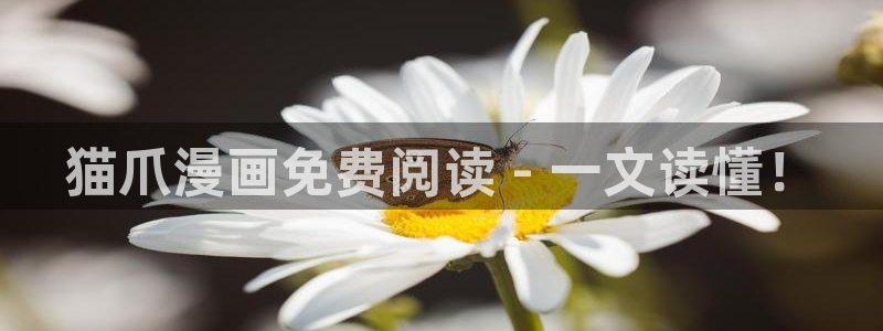 香蕉漫画app在线