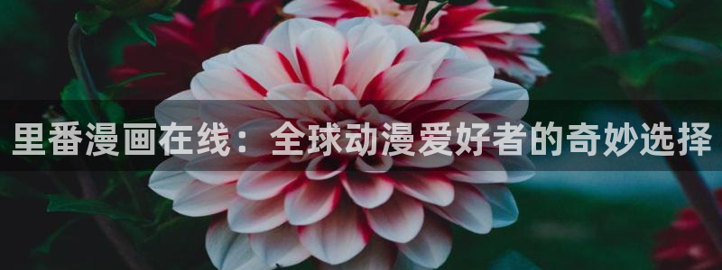香蕉漫画下拉式阅读：里番漫画在线：全球动漫爱好者的奇妙选择