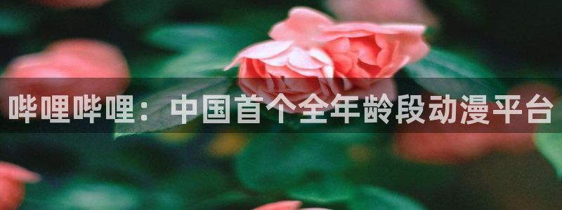 香蕉文化漫画书在线阅读平台下拉式