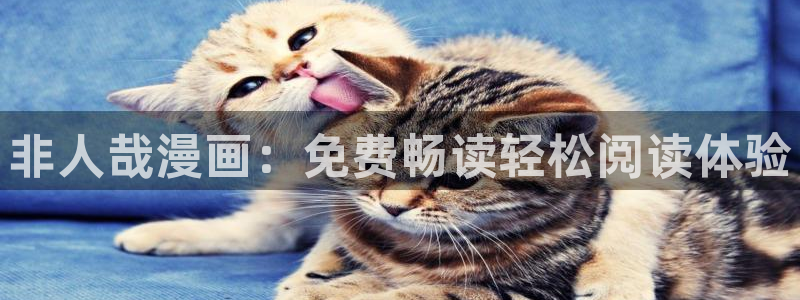 香蕉漫画在线下载：非人哉漫画：免费畅读轻松阅读体验