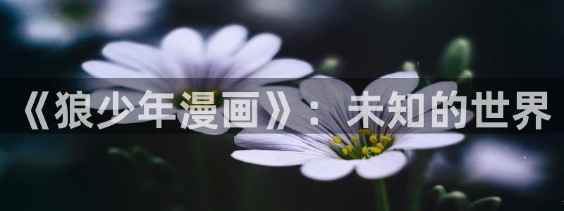 香蕉漫画在：《狼少年漫画》：未知的世界