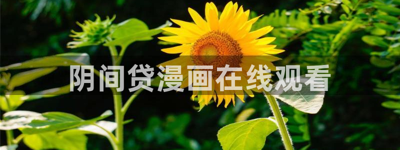 香蕉文化漫画网页：阴间贷漫画在线观看