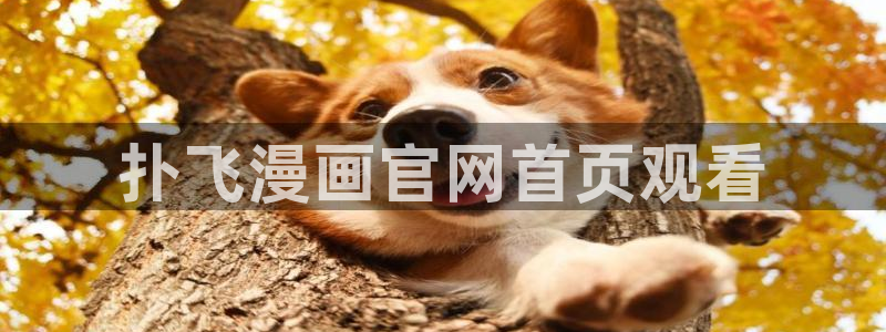 香蕉漫画无删减