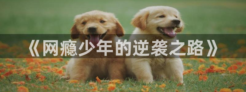 香蕉漫画免费在线